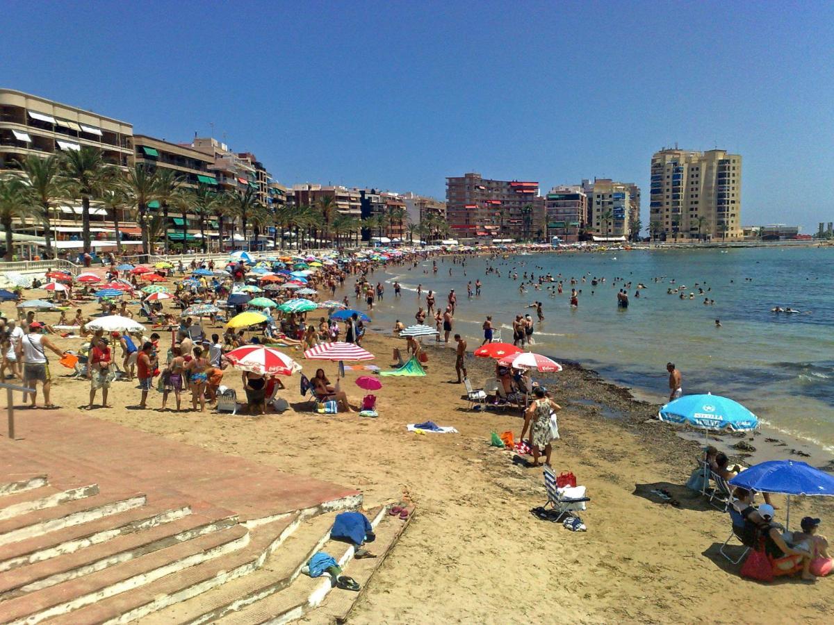 Homely Apartments Alcatri Torrevieja Exteriör bild